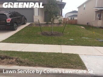 Lawn mowed in Buda, 78610