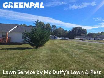 Lawn Care Service nearby Baneberry, TN, 