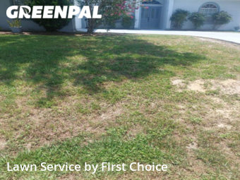 Lawn Cut nearby Palm Coast, FL, 