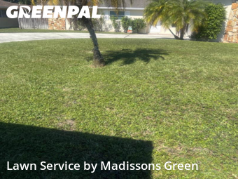 Lawn Care in Royal Palm Beach, 33411, Yard Cutting by Madissons Green, work completed in Nov , 2025