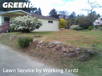 Lawn Care in Burien, 98168, Yard Maintenance by Working Yardz, work completed in Nov , 2025