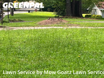 Lawn Mow nearby Ellenwood, GA, 
