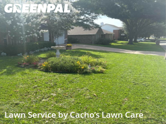 Lawn Mowing nearby Wht Settlemt, TX, 