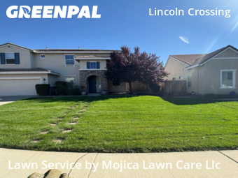 Work completed by cheap-lawn-cutting-businesses-in-Lincoln-CA