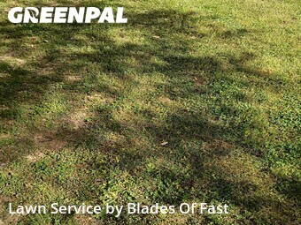 Lawn Cutting nearby Atlanta, GA, 