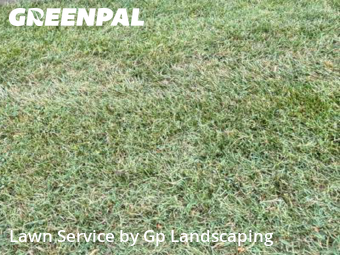 Yard Cutting nearby Matthews, NC, 