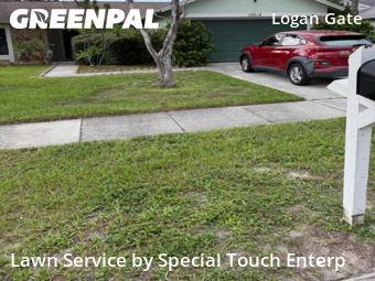 Yard Upkeep in Citrus Park, 33625, Yard Services by Special Touch Enterp, work completed in Dec , 2025