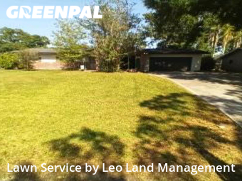 Lawn Cut nearby Lakeland, FL, 