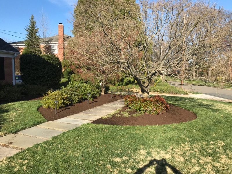 Edge Landscaping Lawn Care Services in Alexandria, VA
