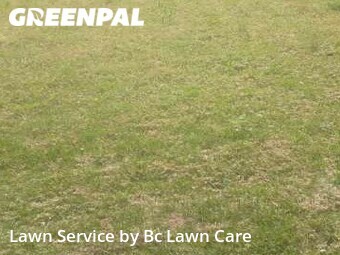 Lawn Mowing nearby Wake Forest, NC, 