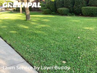Lawn Service nearby Fort Worth, TX, 