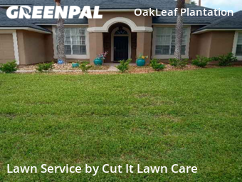 Lawn Mowing Service nearby Orange Park, FL, 