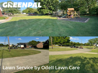 Lawn Mowing nearby Harrisburg, NC, 