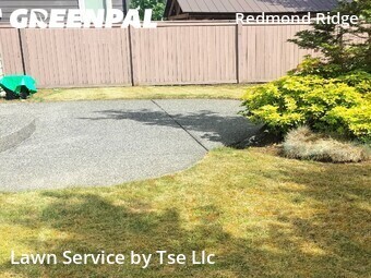 Lawn mowed in Redmond, 98053