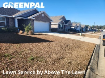 Lawn Mow nearby Bellview, FL, 
