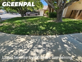 Lawn Care nearby Palmdale, CA, 