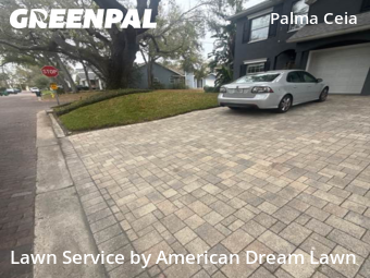 Grass Cut nearby Tampa, FL, 