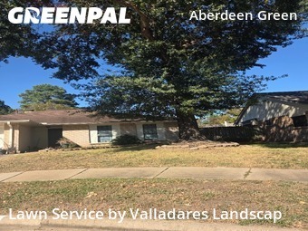 Lawn Mowing Servicein Cypress,77429,Lawn Service by Valladares Landscap, work completed in Dec , 2025