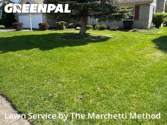 Yard Cutting nearby Aurora, IL, 