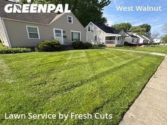 Lawn Maintenance nearby Painesville, OH, 