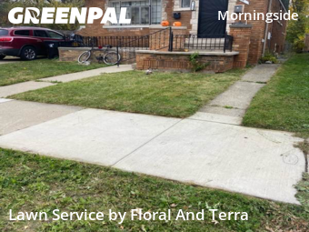 Grass Services in Detroit, 48224, Lawn Work by Floral And Terra , work completed in Nov , 2025