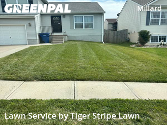 Grass Cutting nearby Omaha, NE, 