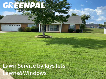 Yard Cutting nearby Locust Grove, GA, 