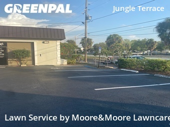 Grass Cutting nearby St. Petersburg, FL, 