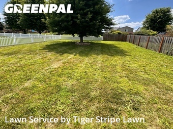 Yard Mowing nearby Omaha, NE, 