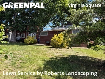 Lawn Cutting nearby Arlington, VA, 