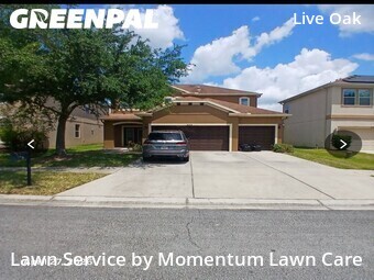 Lawn Mowing nearby Tampa, FL, 