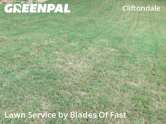 Lawn Care nearby Atlanta, GA, 