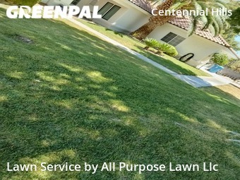 Lawn Mowing Service nearby Las Vegas, NV, 