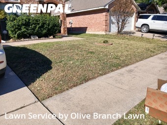 Grass Cuttingin Saginaw,76131,Lawn Mowing Service by Olive Branch Lawn, work completed in Dec , 2025