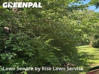Yard Mowing nearby Bettendorf, IA, 