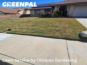 Lawn Cut nearby Palmdale, CA, 