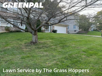 Lawn Cut nearby Saint Charles, MO, 