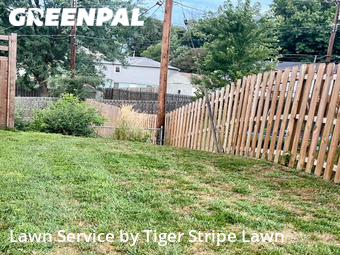 Lawn Care Service nearby La Vista, NE, 