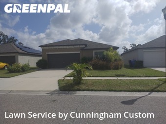 Grass Cut nearby Riverview, FL, 