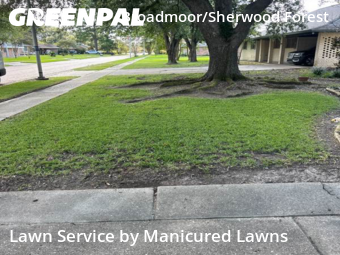 Lawn Cutting nearby Baton Rouge, LA, 