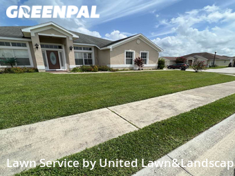 Lawn Cut nearby Lakeland, FL, 