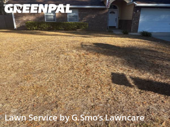 Lawn Cut nearby Newberry, FL, 