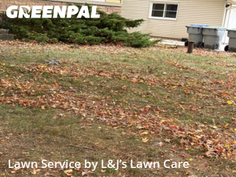 Grass Cut nearby Greenfield, WI, 