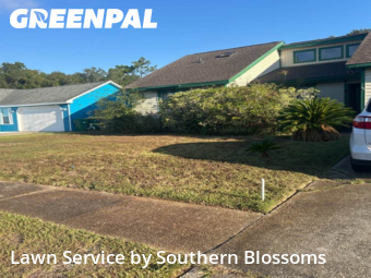 Lawn Maintenance nearby Mary Esther, FL, 