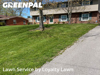 Lawn Mow nearby Lexington, KY, 