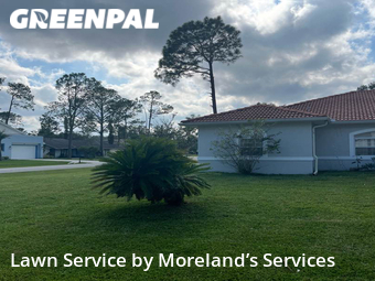 Yard Cutting nearby Palm Coast, FL, 