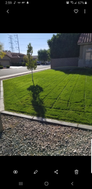 lawn-care-services-in-Queen Creek-AZ