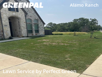 Grass Cut nearby San Antonio, TX, 