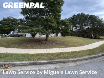 Lawn Mowing nearby Atlanta, GA, 