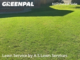 Grass Cutting nearby Universal City, TX, 